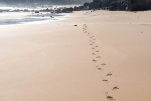 Footprints in the sand
